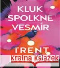 Kluk spolkne vesmír Trent Dalton 9788025729434