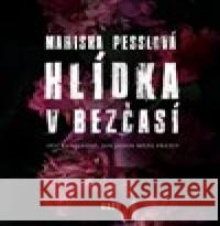 Hlídka v Bezčasí Marisha Pesslová 9788025730751