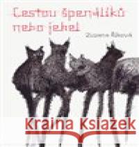 Cestou špendlíků nebo jehel Zuzana Říhová 9788025734155