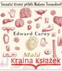 Malá Edward Carey 9788025735381