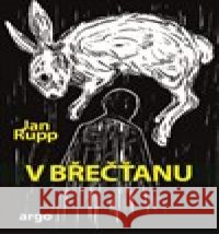 V břečťanu Jan Rupp 9788025737217