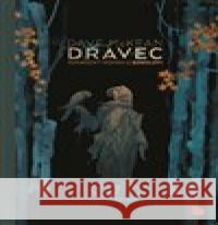 Dravec Dave McKean 9788025737309