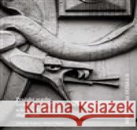 Skrytá krása detailu II. Zdeněk Lukeš 9788025738863