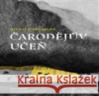 Čarodějův učeň Mehrdad Zaeri 9788025744291