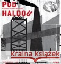 Pod haldou Vladimír Zlý 9788025746554