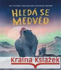 Hledá se medvěd Levi Pinfold 9788025746578