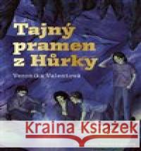 Tajný pramen z Hůrky Veronika Valentová 9788025748138