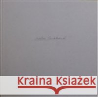 Otázky Adéla Součková 9788026071877