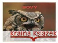 Sovy Jiří Bednář 9788026086406