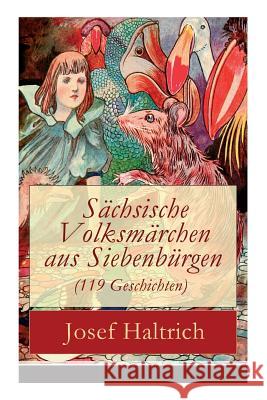 Sächsische Volksmärchen aus Siebenbürgen (119 Geschichten): Der Fuchs und der Bär + Die beiden Goldkinder + Der seltsame Vogel + Die Füchse, der Wolf Haltrich, Josef 9788026863960