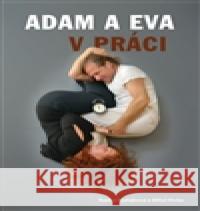 Adam a Eva v práci Miloš Pícha 9788027006083 TT Publishing