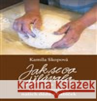 Jak se co dělávalo Kamila Skopová 9788027079377