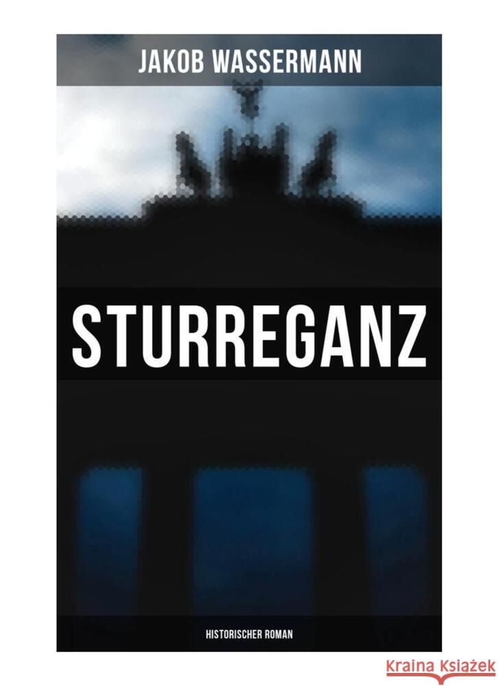 Sturreganz: Historischer Roman Wassermann, Jakob 9788027259021 Musaicum Books