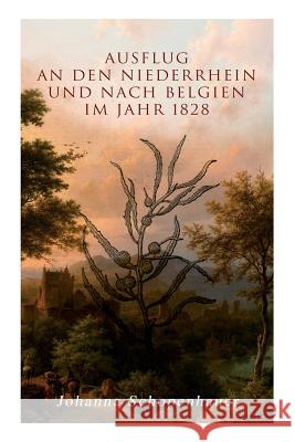 Ausflug an den Niederrhein und nach Belgien im Jahr 1828 Johanna Schopenhauer 9788027313365 e-artnow