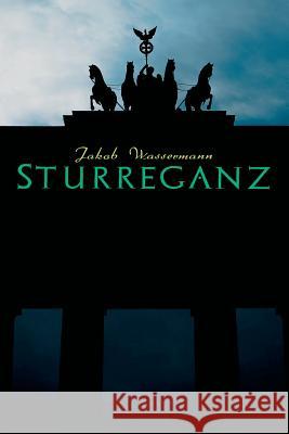 Sturreganz Jakob Wassermann 9788027314430 e-artnow