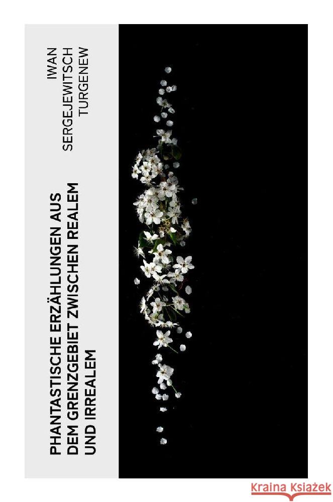 Phantastische Erzählungen aus dem Grenzgebiet zwischen Realem und Irrealem Turgenew, Iwan Sergejewitsch 9788027349708