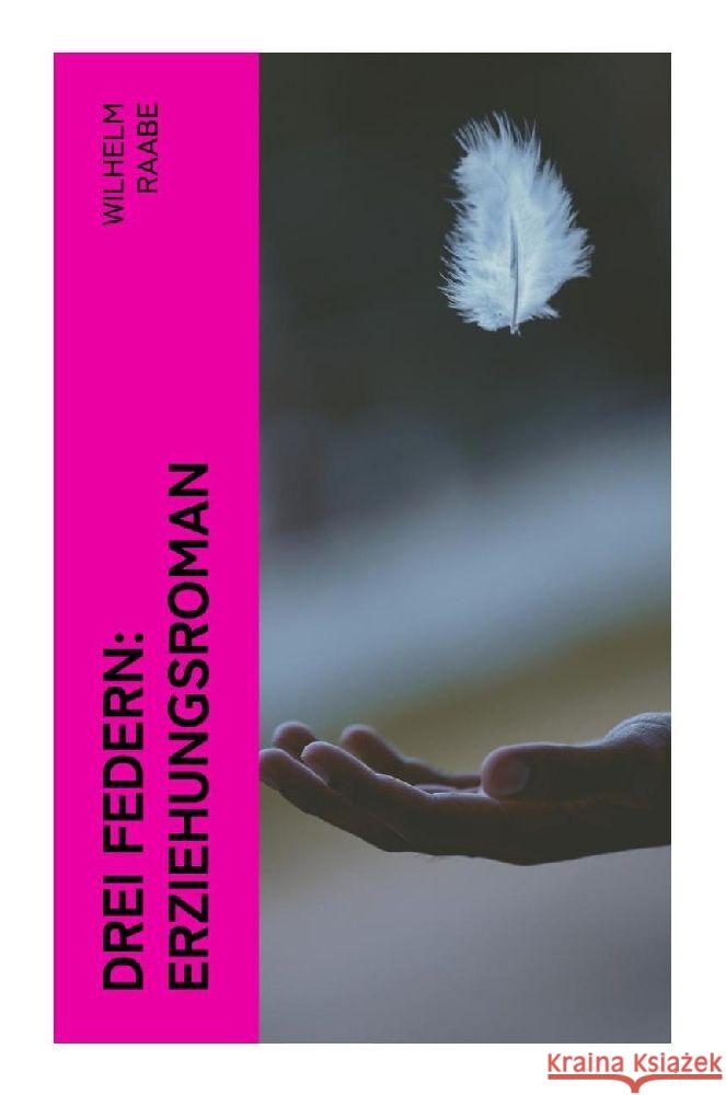 Drei Federn: Erziehungsroman Raabe, Wilhelm 9788027350285 e-artnow