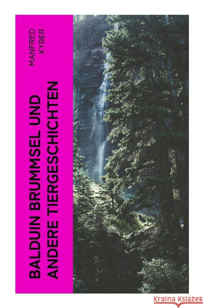 Balduin Brummsel und andere Tiergeschichten Kyber, Manfred 9788027362998