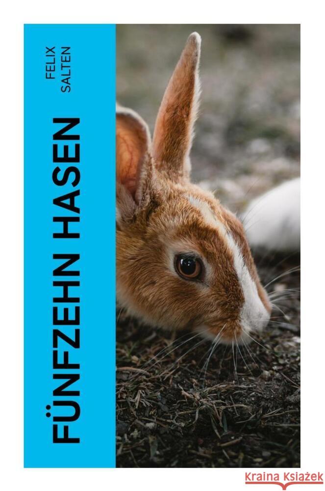 Fünfzehn Hasen Salten, Felix 9788027367450