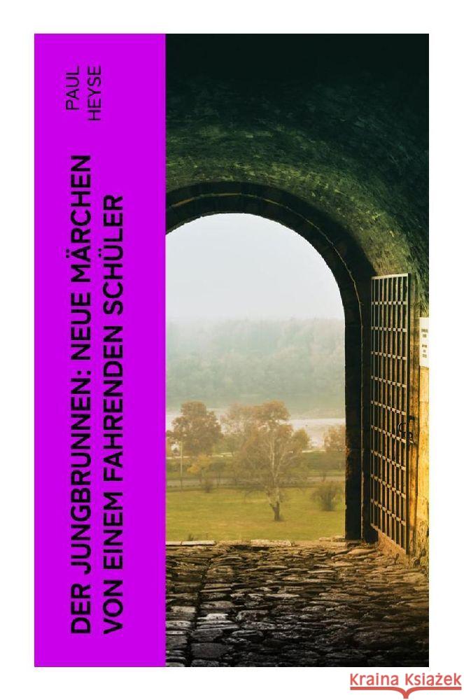 Der Jungbrunnen: Neue Märchen von einem fahrenden Schüler Heyse, Paul 9788027369133 e-artnow