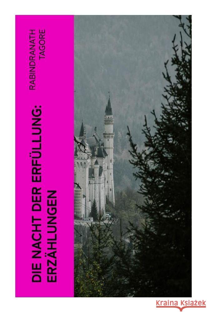 Die Nacht der Erfüllung: Erzählungen Tagore, Rabindranath 9788027371785