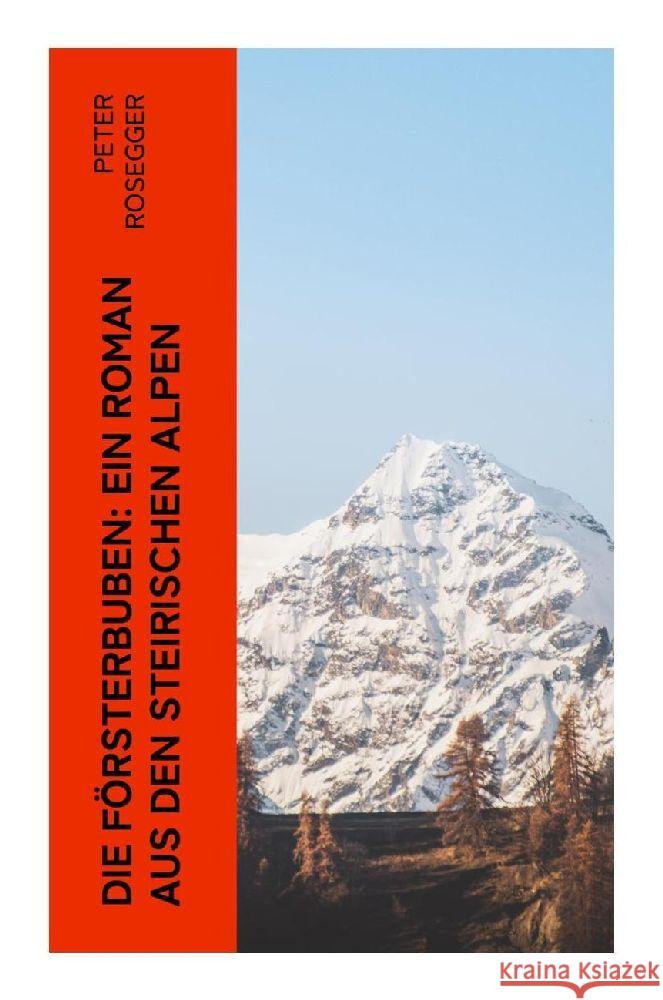 Die Försterbuben: Ein Roman aus den steirischen Alpen Rosegger, Peter 9788027373192