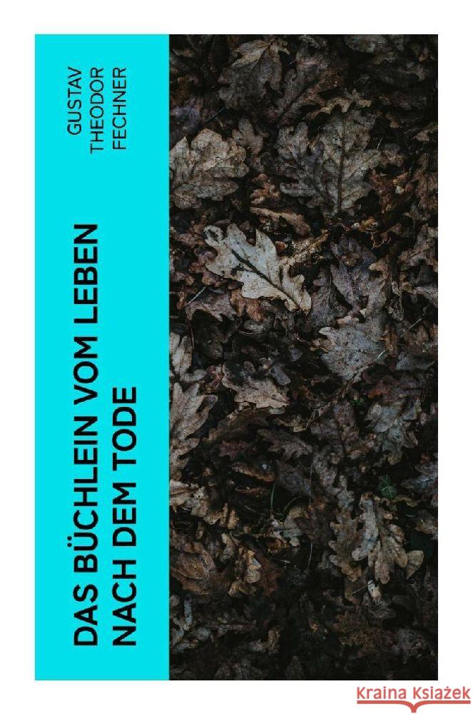 Das Büchlein vom Leben nach dem Tode Fechner, Gustav Theodor 9788027381531