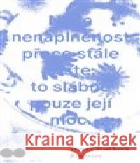 Koutnice Tereza Šustková 9788027520503