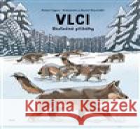 Vlci Daniel Mizieliński 9788027521425