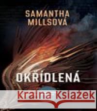 Okřídlená  9788027523382 Host