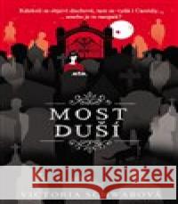 Most duší Victoria Schwabová 9788027603954 #booklab