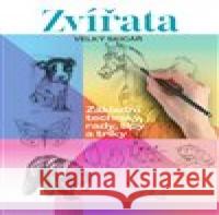 Zvířata. Velký skicář  9788027611515 Slovart