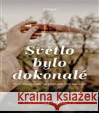 Světlo bylo dokonalé Caréne Ponte 9788027702435