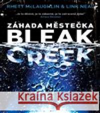 Záhada městečka Bleak Creek Link Neal 9788027702855