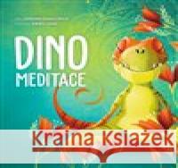 Dino meditace Anna Láng 9788027710935