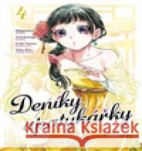 Deníky apatykářky 4  9788027724826 0