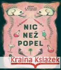 Nic než popel Rebecca Schaeffer 9788027740802