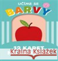 Učíme se barvy: 12 karet na kroužku Agnese Baruzzi 9788027760817
