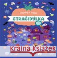 Hledej a najdi: Strašidýlka  9788027761975 Drobek