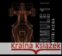 Formule 1: Rytíři rizika Roberto Gurian 9788027762576 Pangea