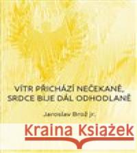 Vítr přichází nečekaně, srdce bije dál odhodlaně Jaroslav Brož 9788027800148