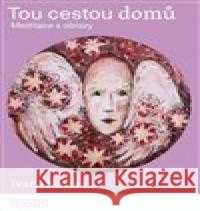 Tou cestou domů Ivana Noble 9788028001292 Masarykova univerzita Brno