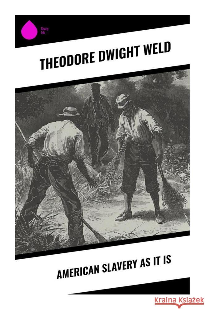 American Slavery as It is Weld, Theodore Dwight 9788028339203