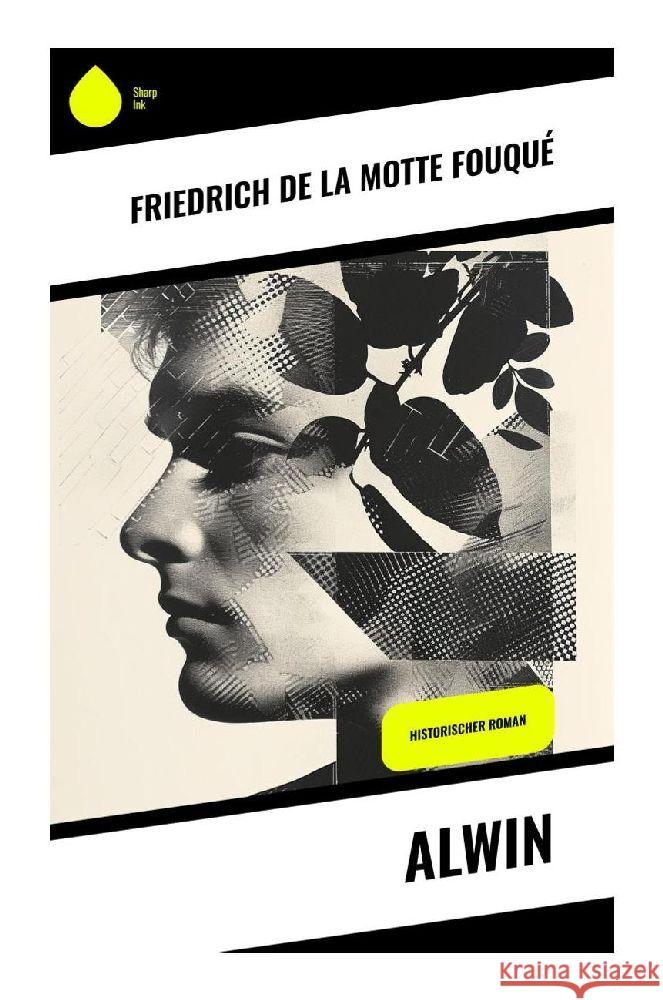 Alwin de la Fouqué, Friedrich Motte 9788028343996