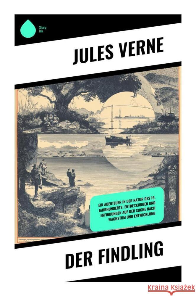 Der Findling Verne, Jules 9788028398910 Copycat