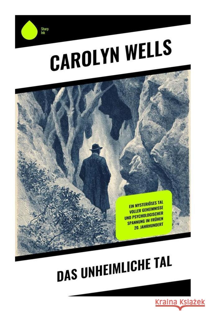 Das unheimliche Tal Wells, Carolyn 9788028510572