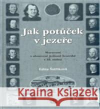 Jak potůček v jezeře Edita Štěříková 9788070171127 Kalich