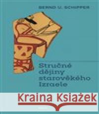 Stručné dějiny starověkého Izraele Bernd U.  Schipper 9788070173510