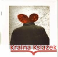 Jiří David - Předběžná retrospektiva Jiří David 9788070271940