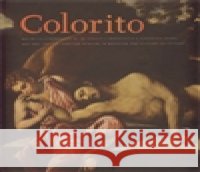 Colorito  9788070272374 Moravská galerie v Brně
